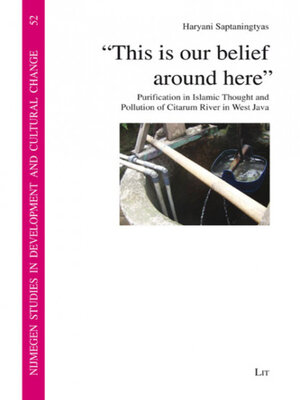 cover image of "This is our belief around here"